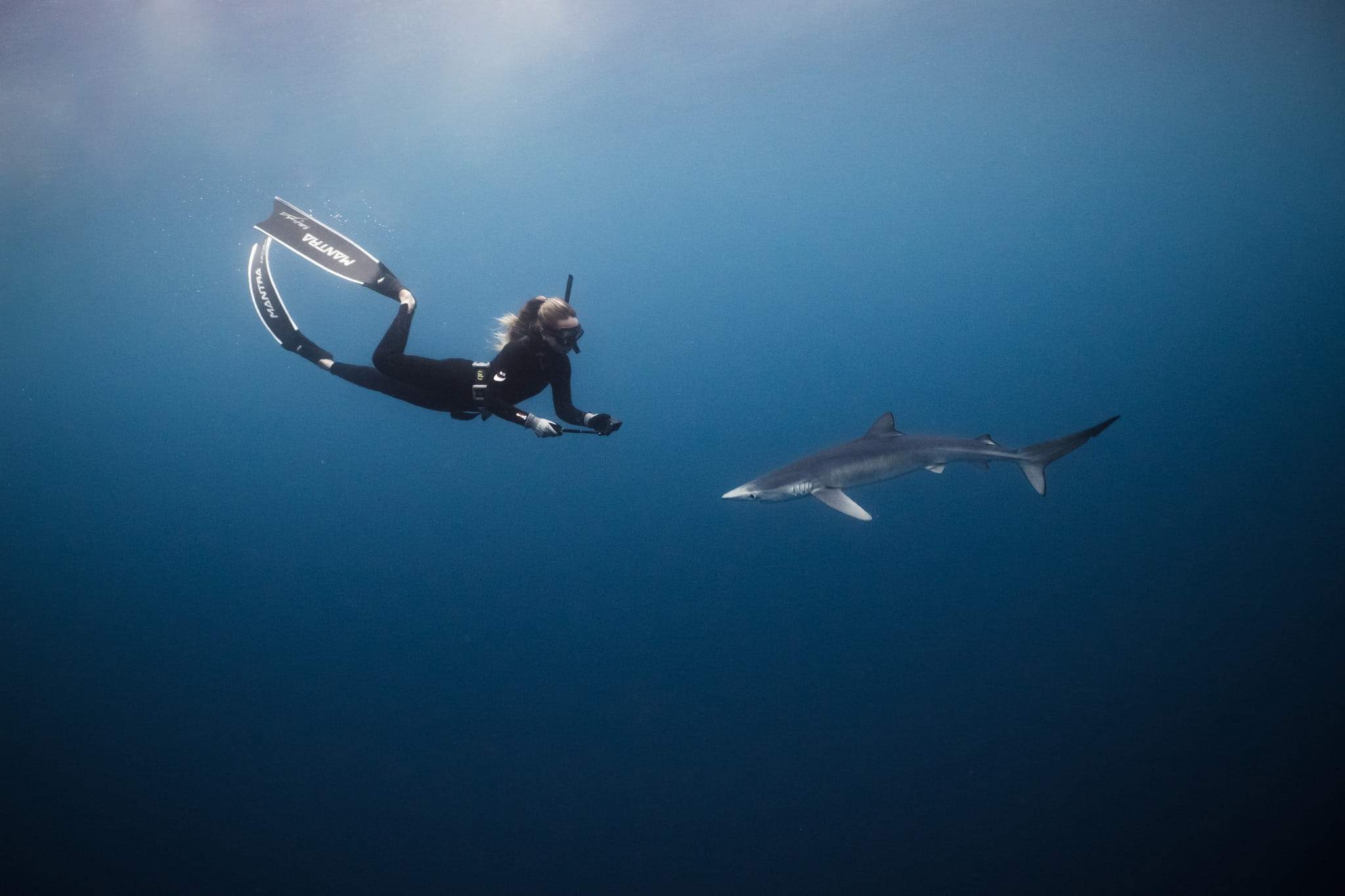 Margaux Le Brun freediving with her camera, face to face with a blue shark in open water